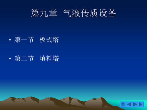 第九章气液传质设备.ppt