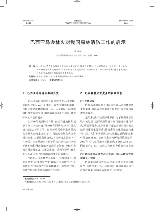 巴西亚马逊林火对我国森林消防工作的启示