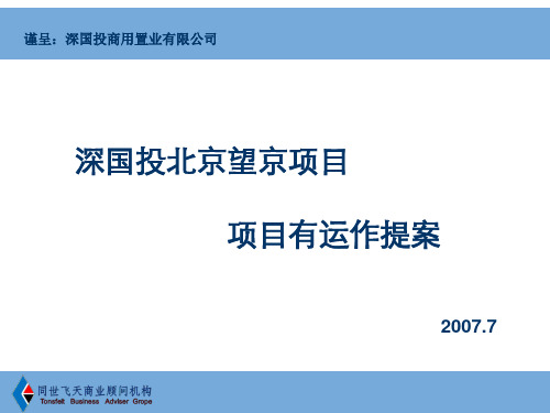 07北京望京项目运作提案