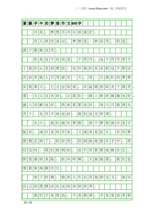 高二评论作文：紧握手中的梦想作文600字