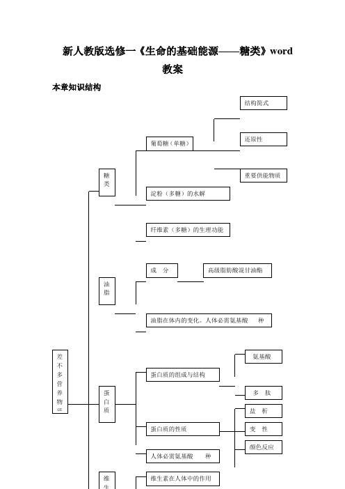 新人教版选修一《生命的基础能源——糖类》word教案