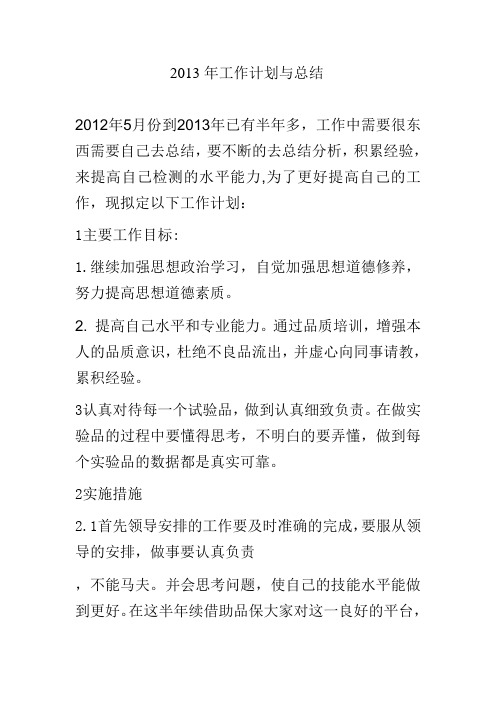 2013年工作计划与总结