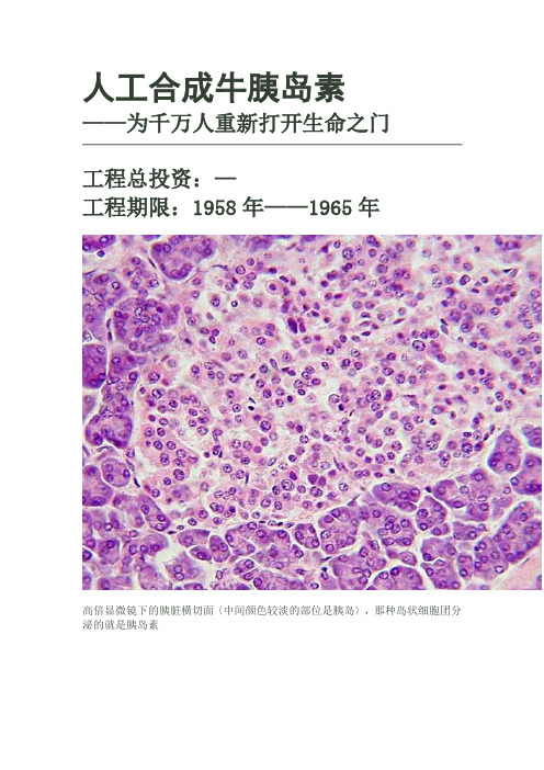 人工合成牛胰岛素解析