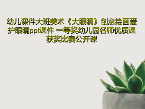 幼儿课件大班美术《大眼睛》创意绘画爱护眼睛ppt课件 一等奖幼儿园名师优质课获奖比赛公开课共41页