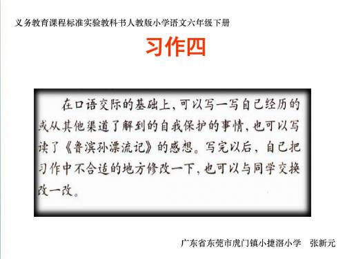 《习作四》ppt课件【6页】
