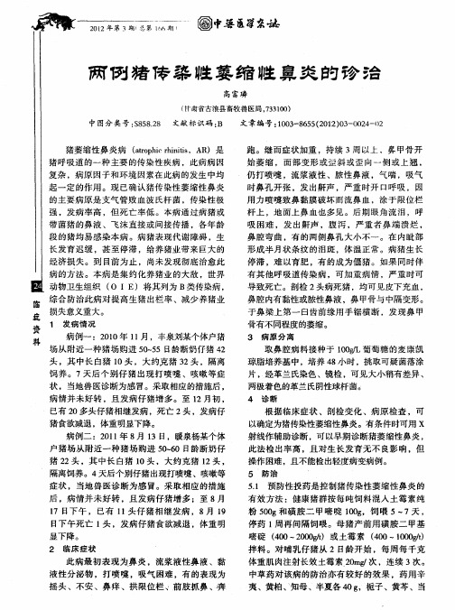 两例猪传染性萎缩性鼻炎的诊治