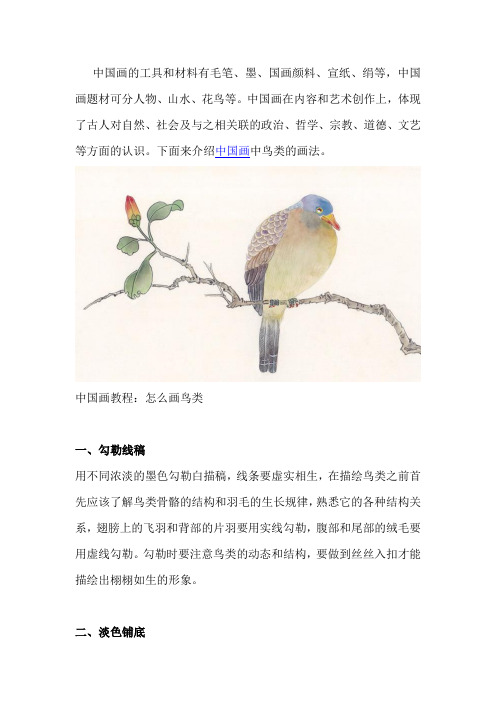 中国画画鸟教程