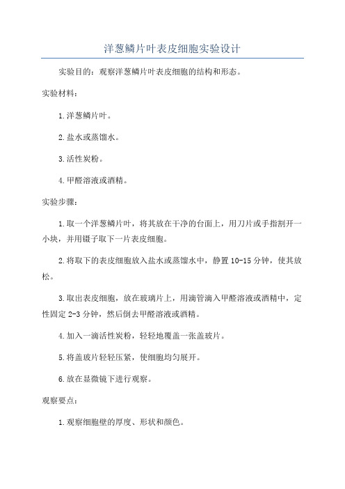 洋葱鳞片叶表皮细胞实验设计