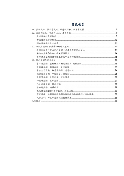 2018年盐湖锂行业深度分析报告