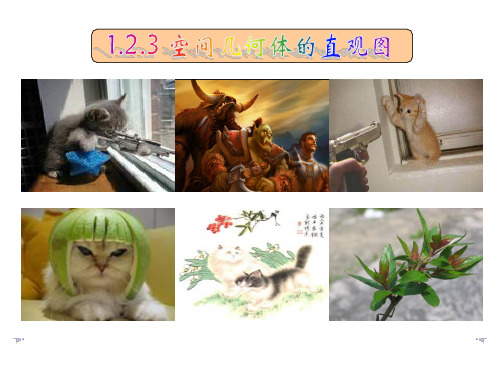 用斜二测画法画出它的直观图