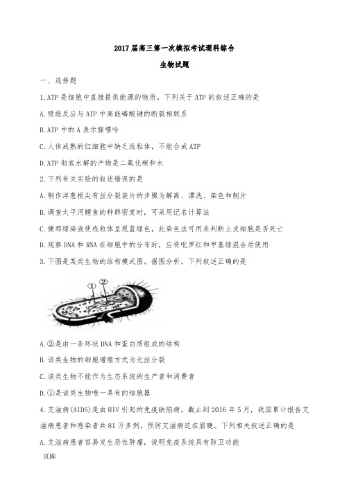 高三理综生物试题1