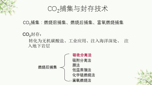 《CO2捕集技术》课件