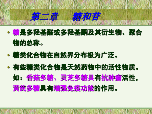 天然药物糖和苷