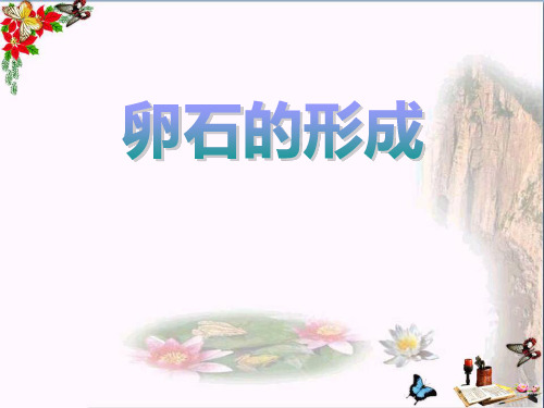 鄂教版科学六年级上册第10课《卵石的形成》PPT课件(上课用)