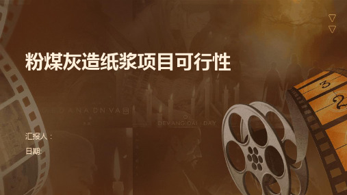 粉煤灰造纸浆项目可行性
