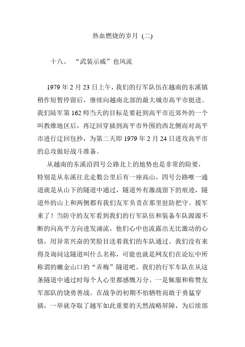 热血燃烧的岁月 (二)