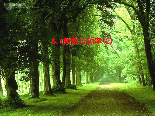 浙教版七年级数学下册第六章《6.4 频数与频率》公开课课件(共10张PPT)
