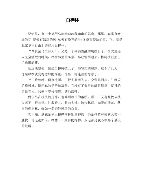 小学六年级作文_状物《白桦林》