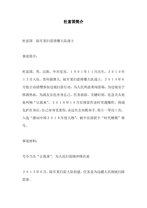 杜富国事迹