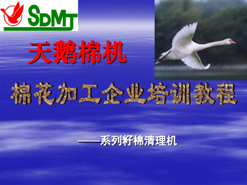籽棉清~1