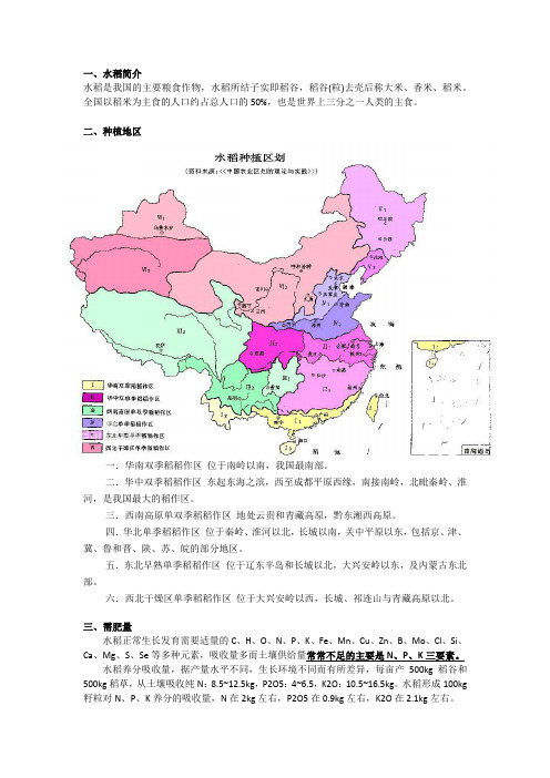 农化服务基础知识2-水稻
