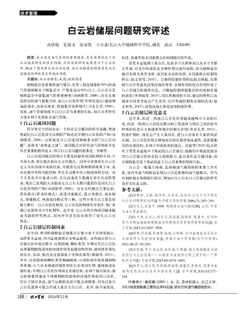 白云岩储层问题研究评述