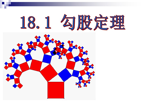 (勾股定理) 说课课件