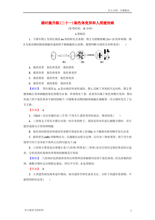高考生物一轮复习：课时提升练21-染色体变异和人类遗传病(含解析)