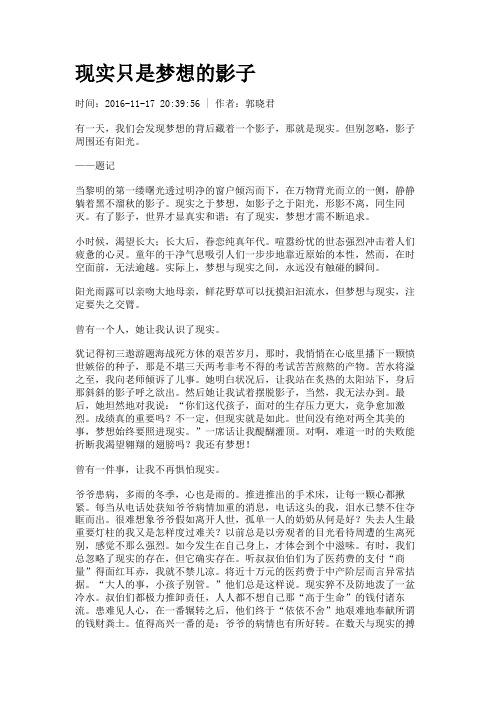 现实只是梦想的影子