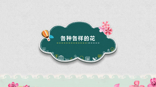 四年级下册科学课件-2.2 各种各样的花｜教科版 (共15张PPT)
