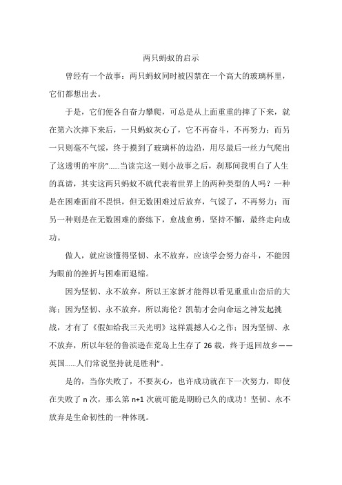 两只蚂蚁的启示