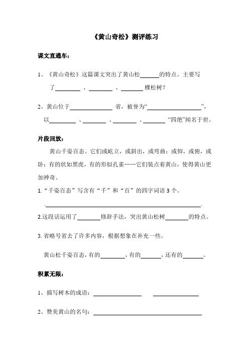 【素材】16 黄山奇松_测评练习