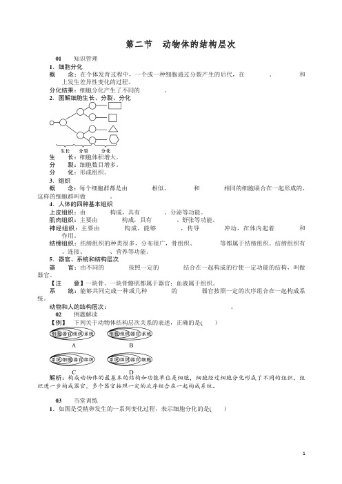 人教版七年级生物上册02第二节 动物体的结构层次 试题及答案【精品】.doc