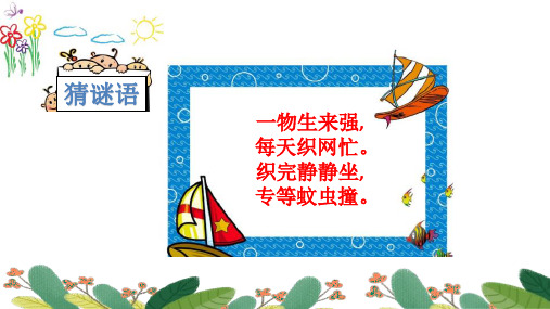 蜘蛛开店