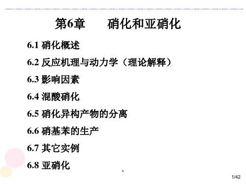 [经济学]第6章_硝化和亚硝化