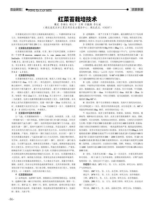 红菜苔栽培技术