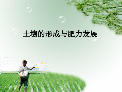 农业土壤的形成与肥力发展