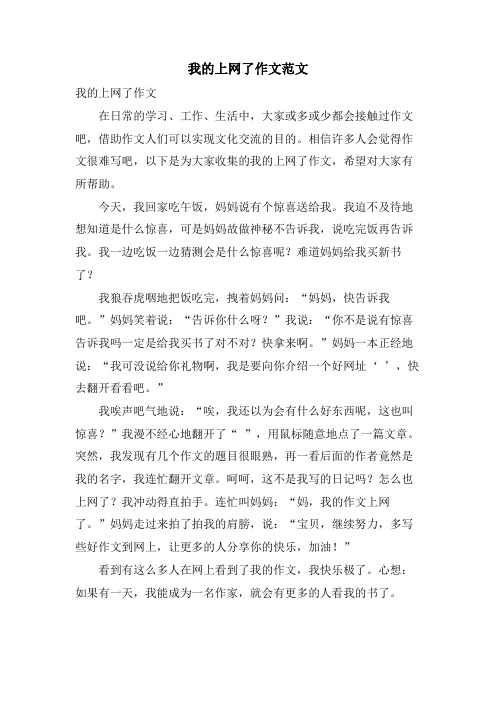 我的上网了作文范文