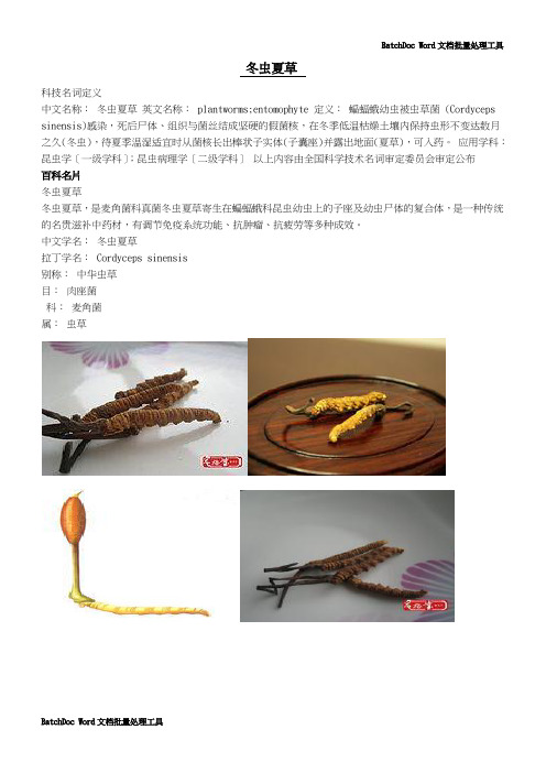 冬虫夏草详细版.doc