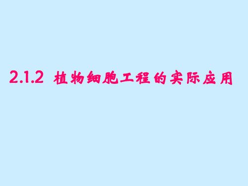 植物细胞工程的实际应用