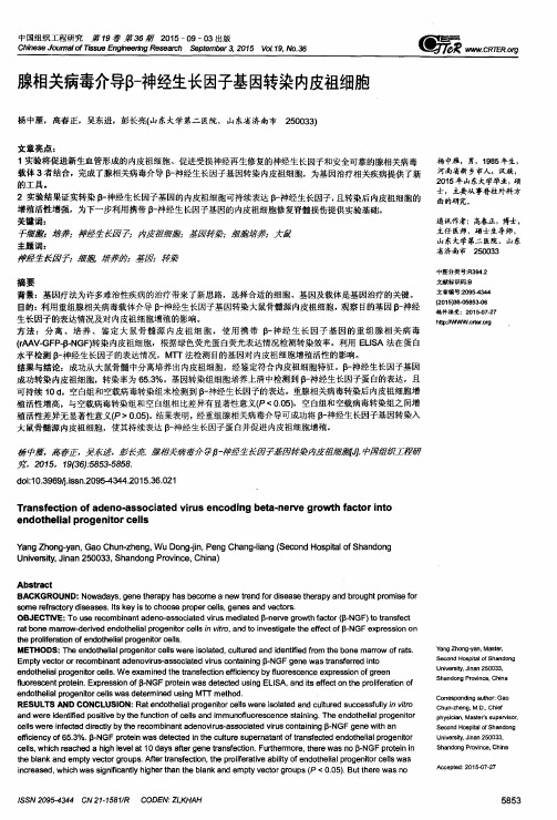 腺相关病毒介导β-神经生长因子基因转染内皮祖细胞