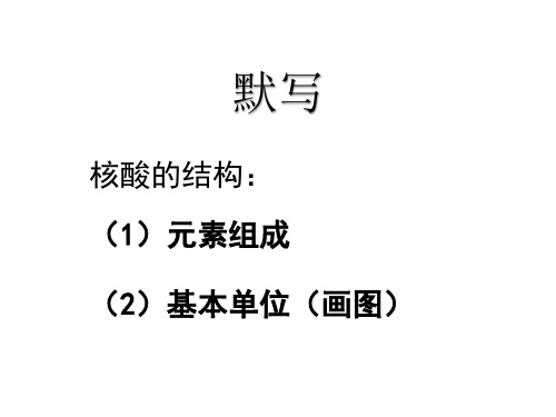 高中生物必修2《第3章遗传信息的复制与表达第2节遗传信息的表达一基因控制蛋...》232北师大PPT课件