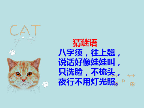 最新部编版语文七年级上册第16课《猫》课件(共23张ppt)