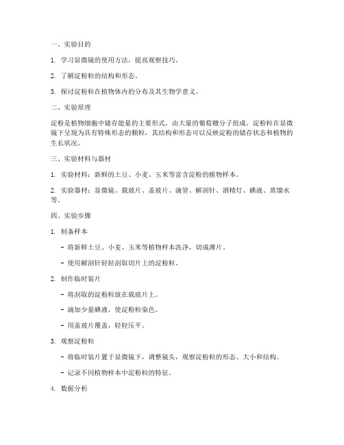 生物实验报告_淀粉粒