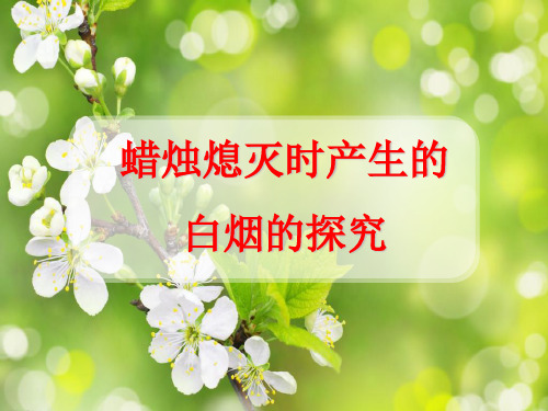 人教版九年级化学上册蜡烛熄灭时产生的白烟的探究 微课件