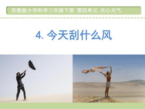 苏教版三年级科学下册第四单元4.今天刮什么风