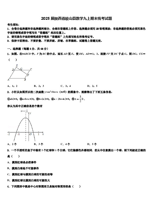 2025届陕西省岐山县数学九上期末统考试题含解析