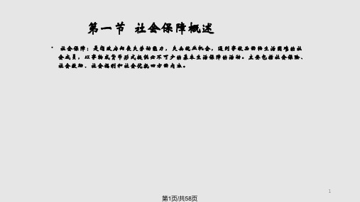 经济学转移性支出PPT课件