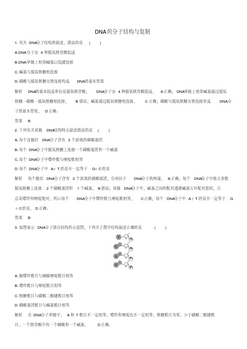 高三高考生物一轮复习：DNA的分子结构与复制