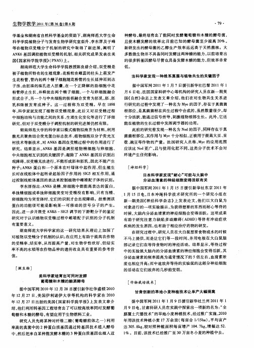 甘肃创新的旱地小麦种植技术让单产大幅提高